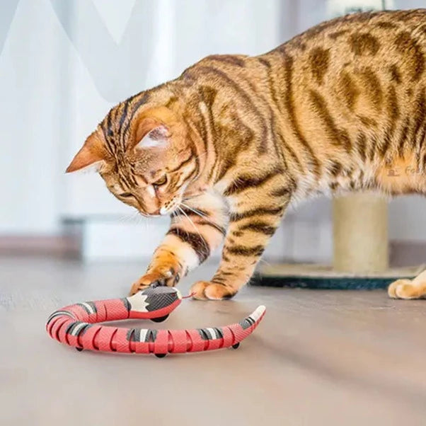 Interaktiv ormleksak från Cat's Smart