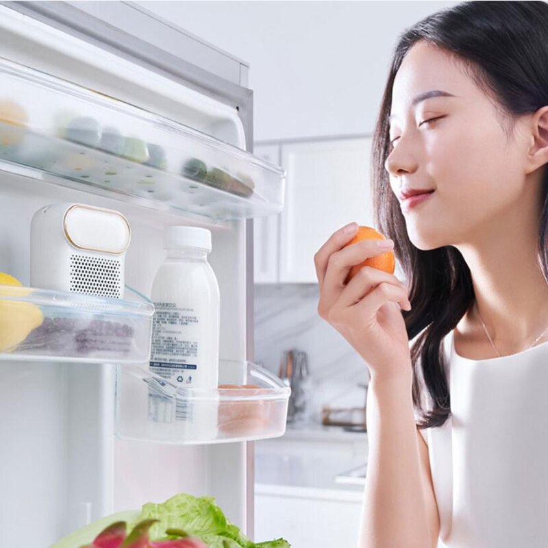 Kylskåp Magnets Luftrenare