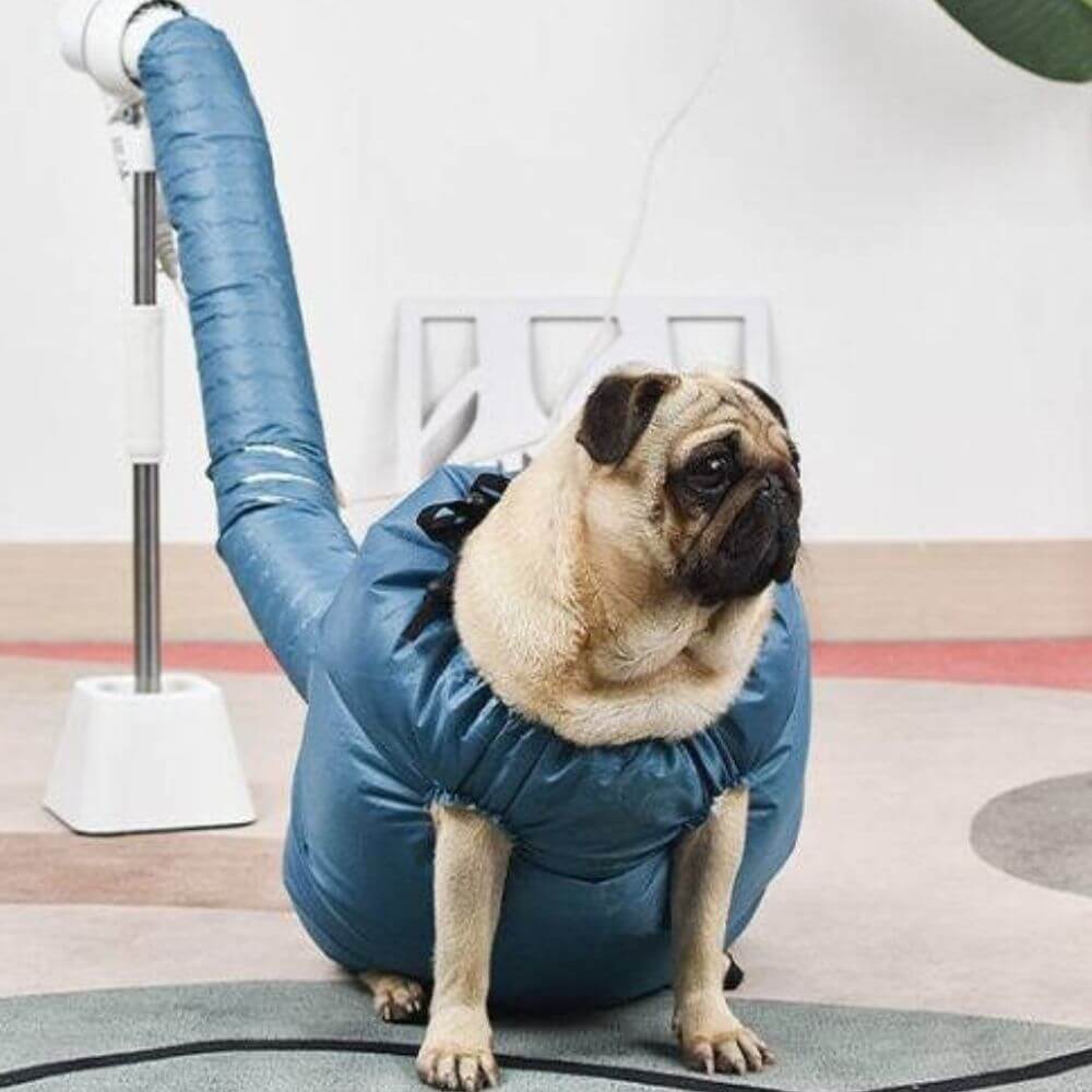 Snabbtorkande Påse för Husdjur