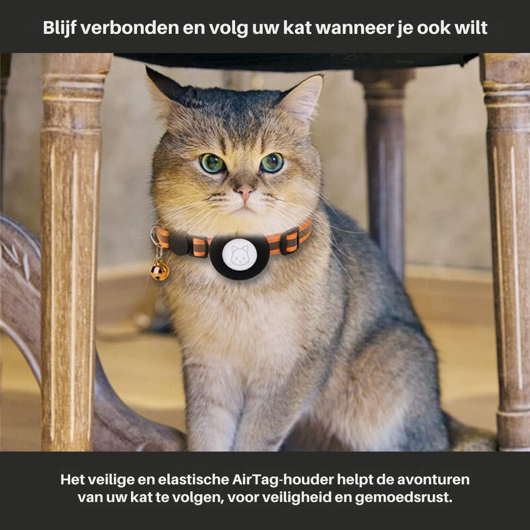 GPS-halsband för katt med reflekterande design 2
