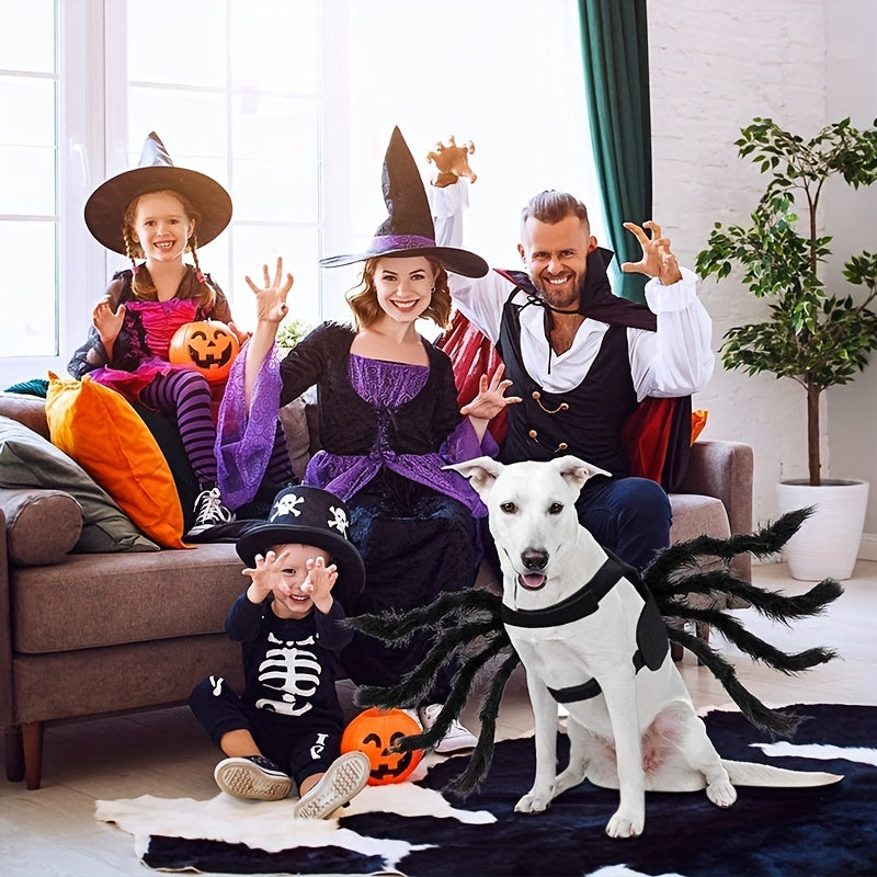 Hundkostym för Halloween med Spindeldesign 3