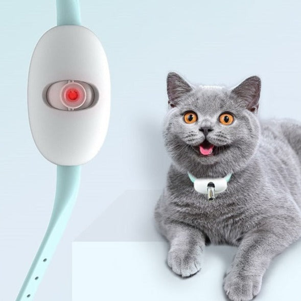 Laser Tease Kattkrage