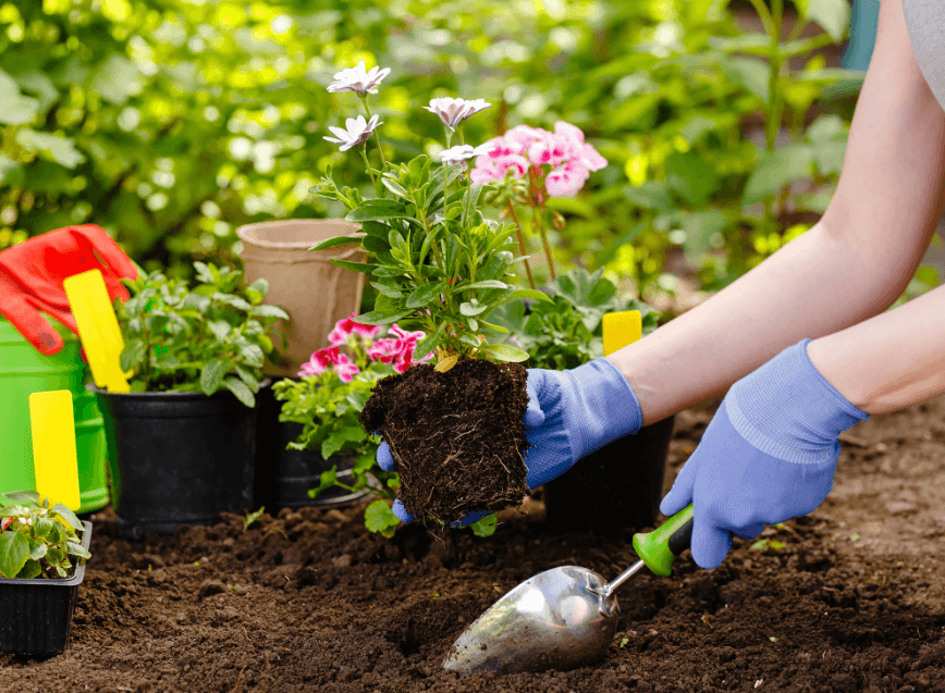 Växtnäringslösning