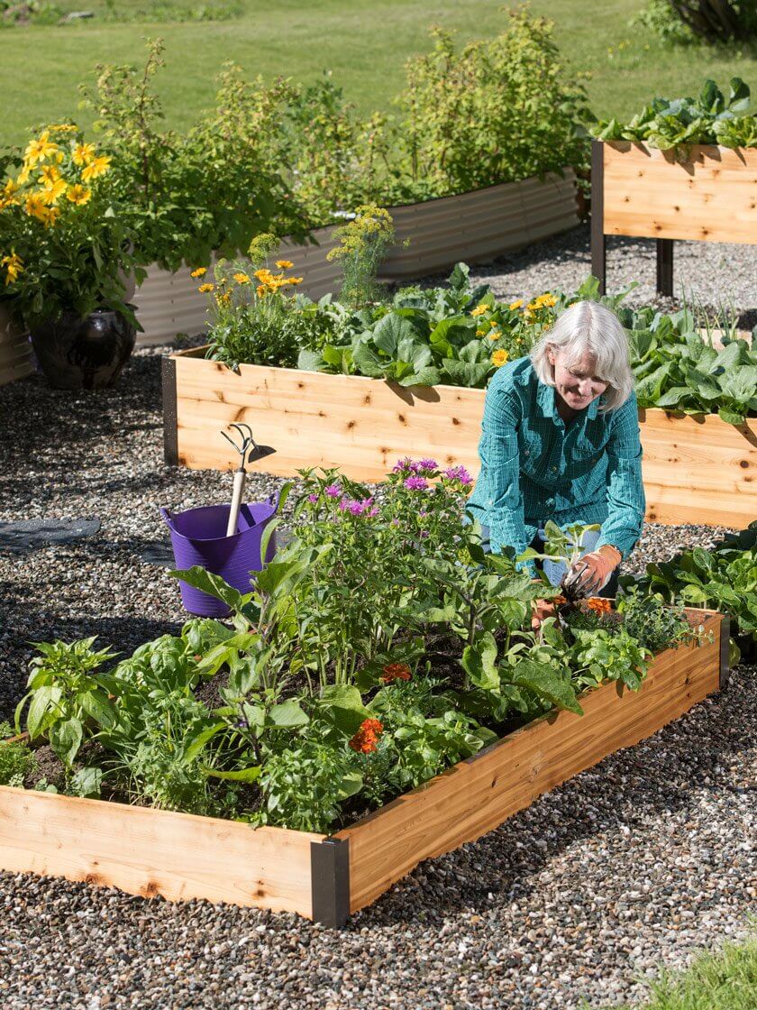 Växtnäringslösning