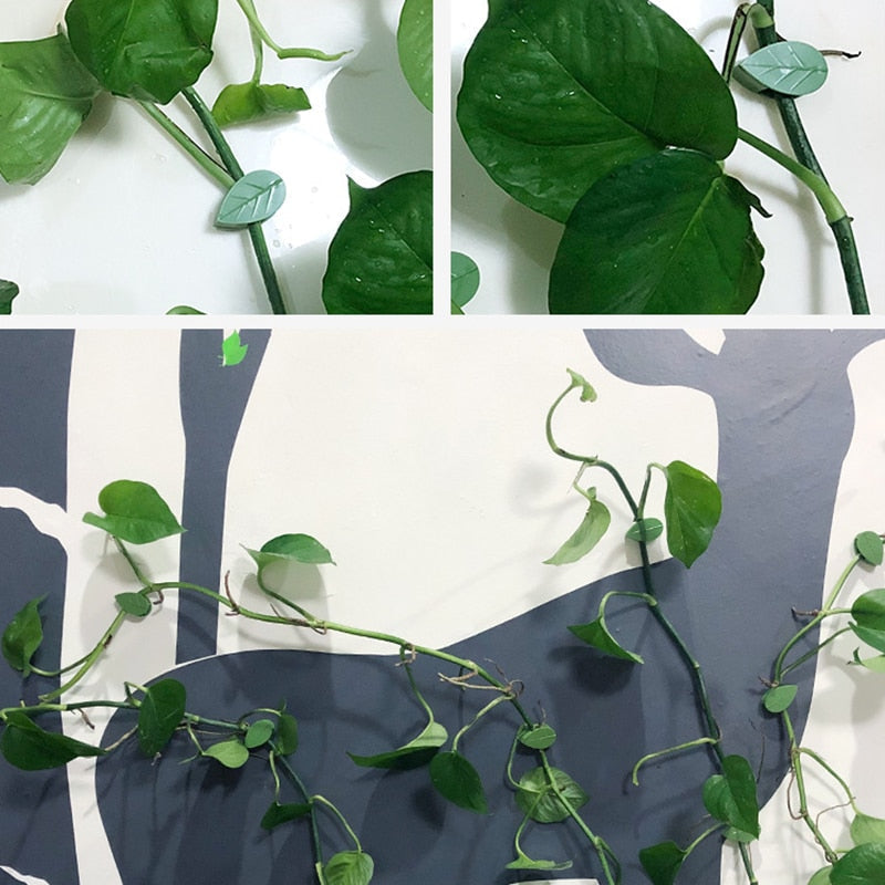 Klättring av växtklättrande artefakter fixeringsklämma