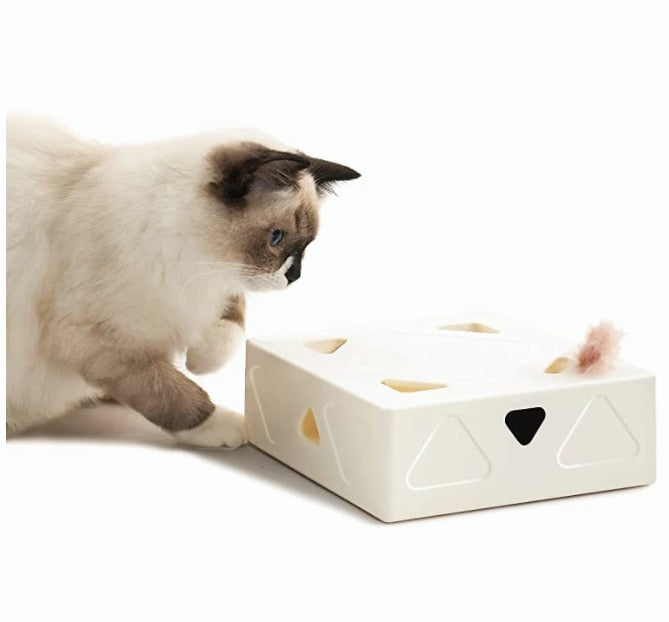 Automatisk kattleksak fjäder