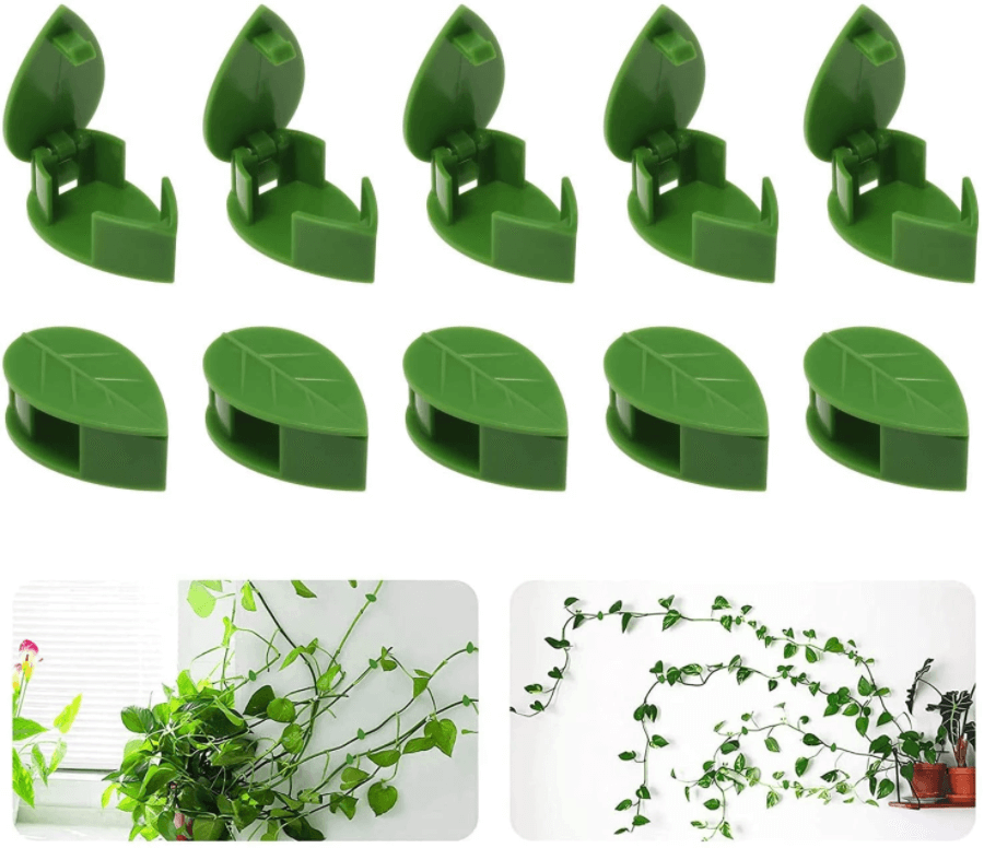 Klättring av växtklättrande artefakter fixeringsklämma