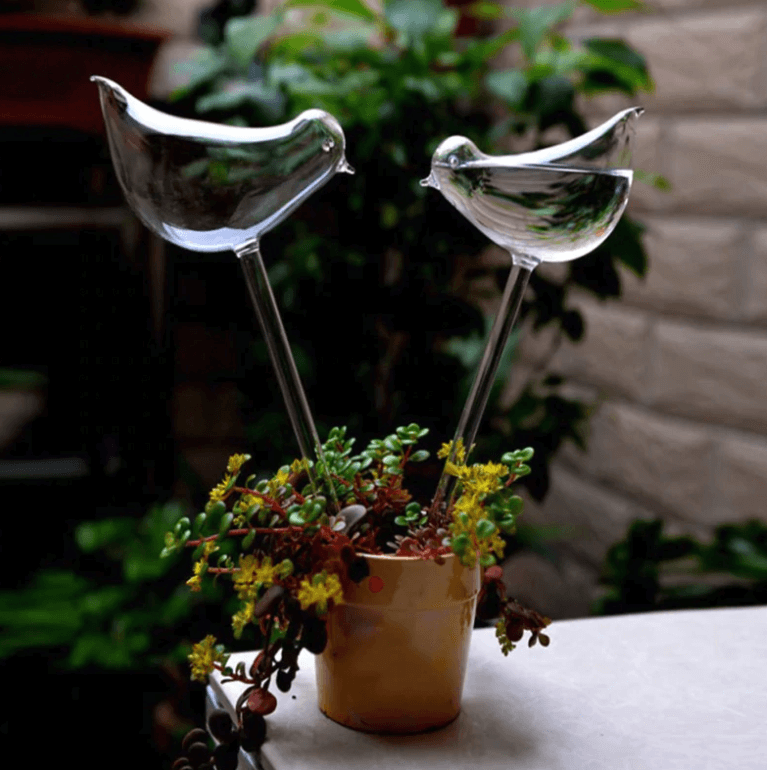 Självvvattnande växtlök