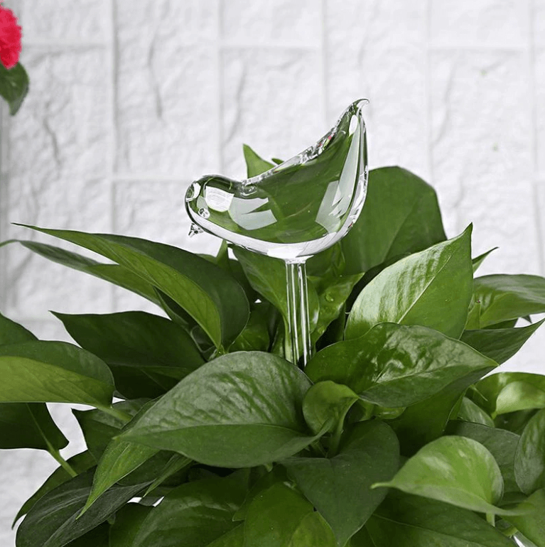 Självvvattnande växtlök