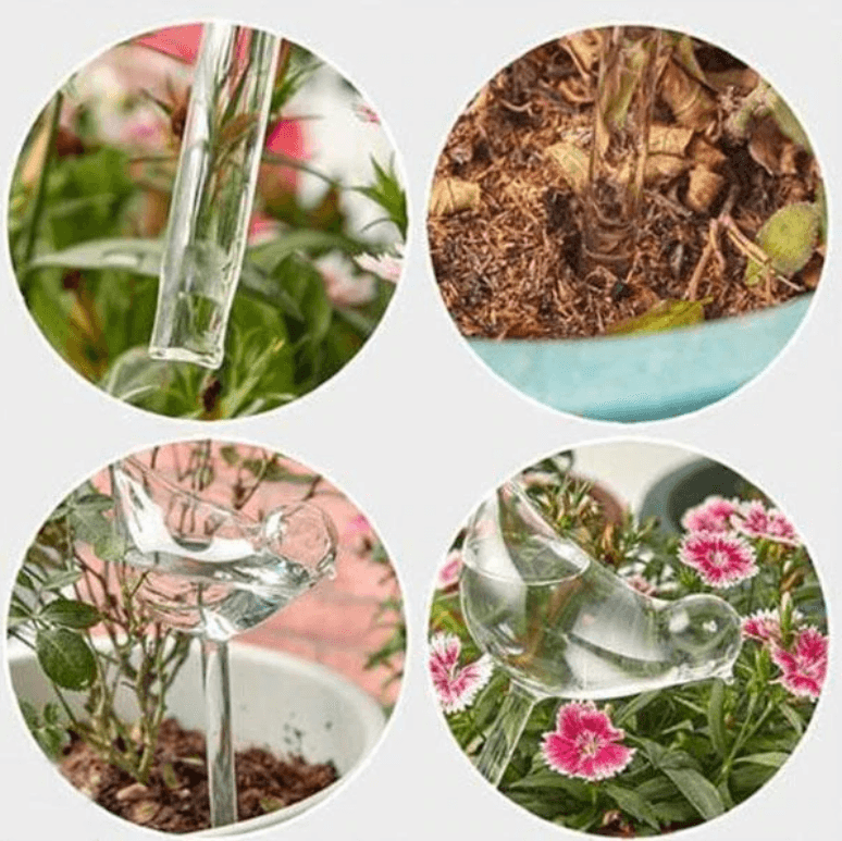 Självvvattnande växtlök