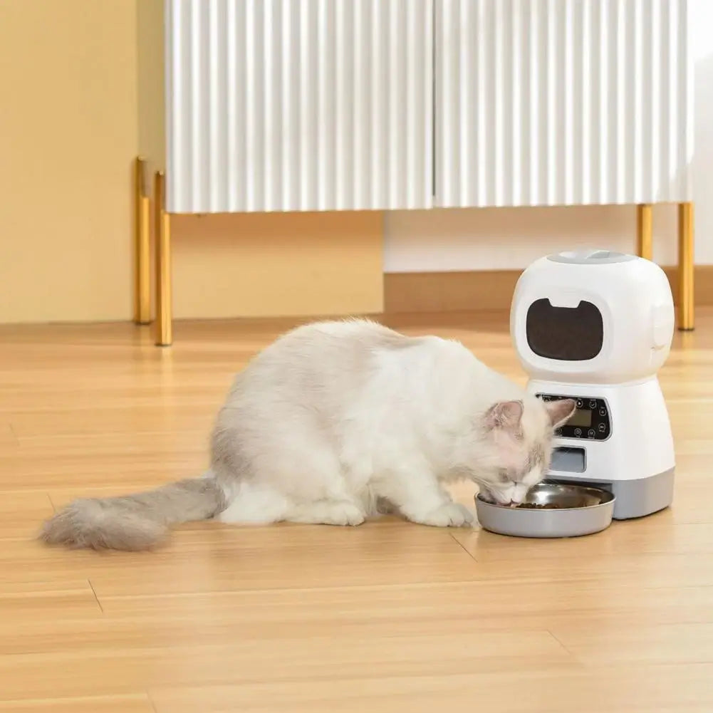 Röstinspelaning Automatisk Pet Feeder