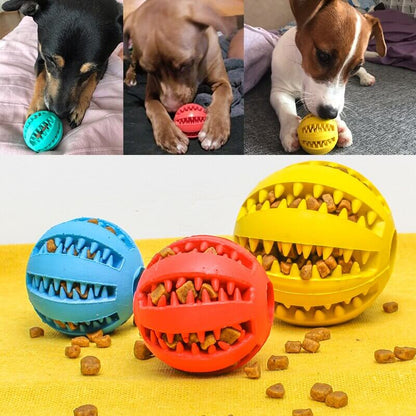 Tandrengöring Treat Dispenser Ball