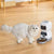 Röstinspelaning Automatisk Pet Feeder