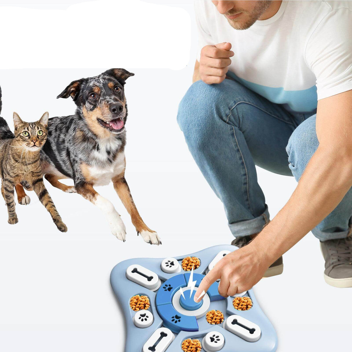 Interaktiv Pusselmatare För Husdjur