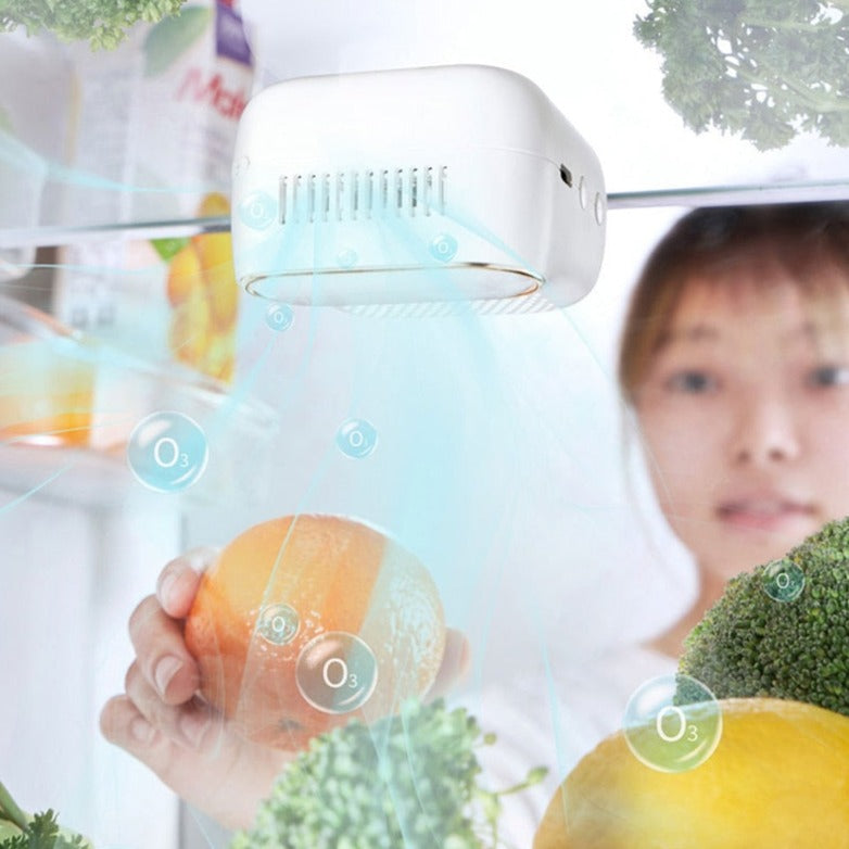 Kylskåp Magnets Luftrenare