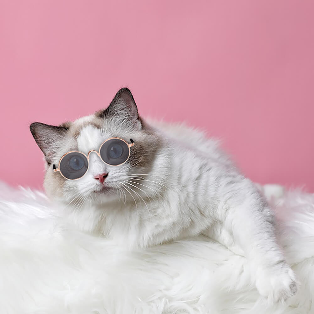 Husdjur Runda Retro Solglasögon