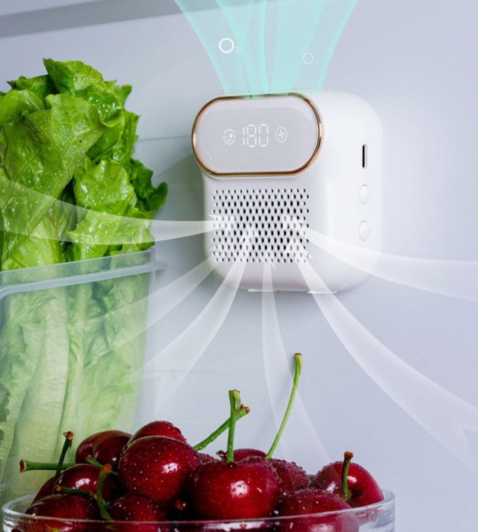 Kylskåp Magnets Luftrenare