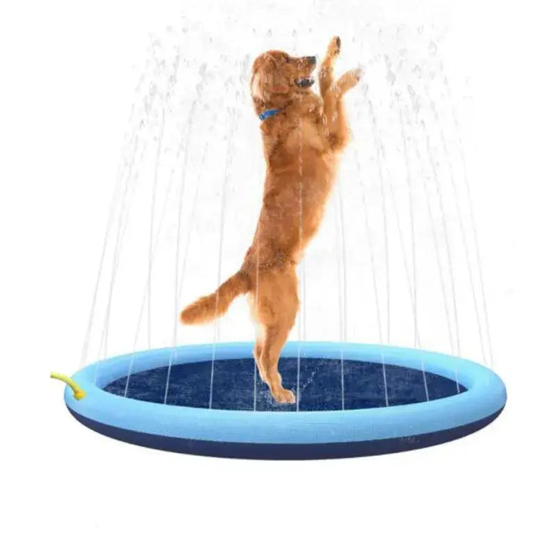 Splash & Spray Summer Pet Pool