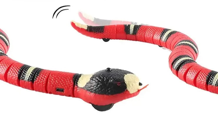 Interaktiv ormleksak från Cat's Smart