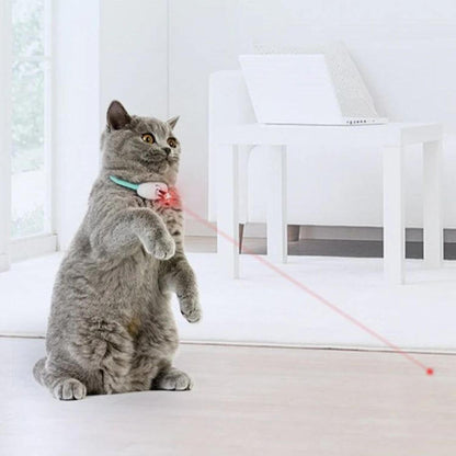 Laser Tease Kattkrage