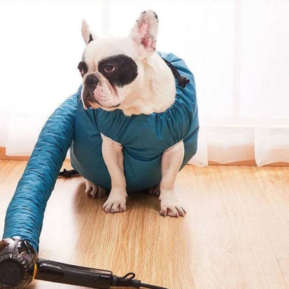 Snabbtorkande Påse för Husdjur