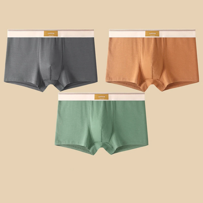 Herrens Boxershorts Set med Tre Delar 4