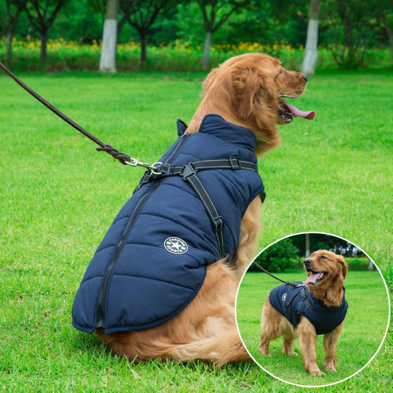 Hundjacka För Vinterpromenader Med Reflexdetaljer 1
