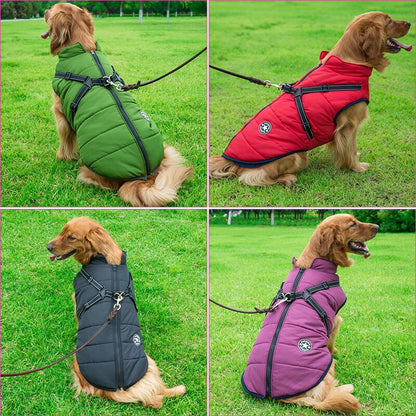 Hundjacka För Vinterpromenader Med Reflexdetaljer 3