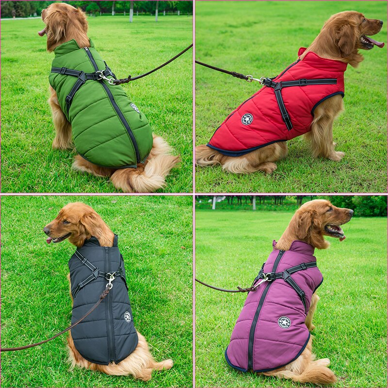 Hundjacka För Vinterpromenader Med Reflexdetaljer 3
