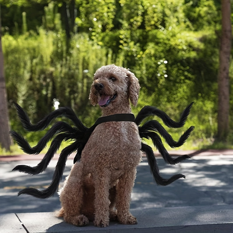 Hundkostym för Halloween med Spindeldesign 1