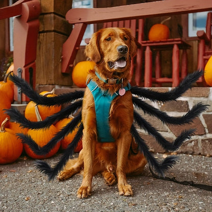 Hundkostym för Halloween med Spindeldesign 2