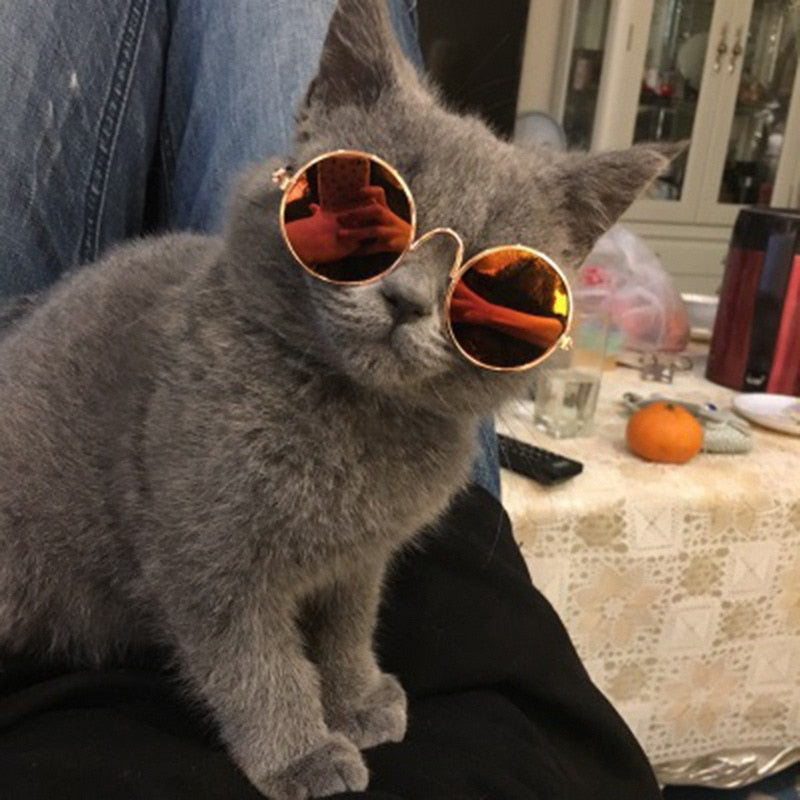 Husdjur Runda Retro Solglasögon