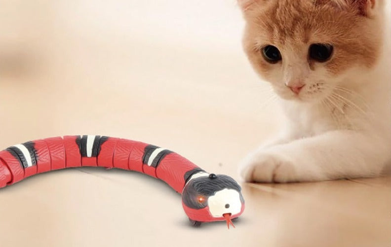 Interaktiv ormleksak från Cat's Smart