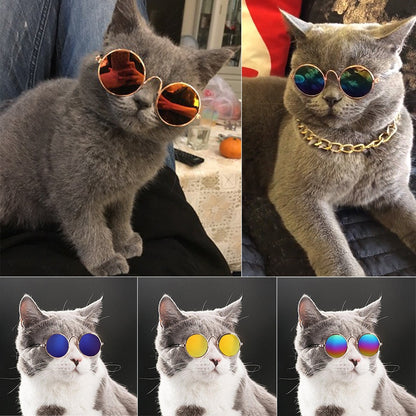 Husdjur Runda Retro Solglasögon