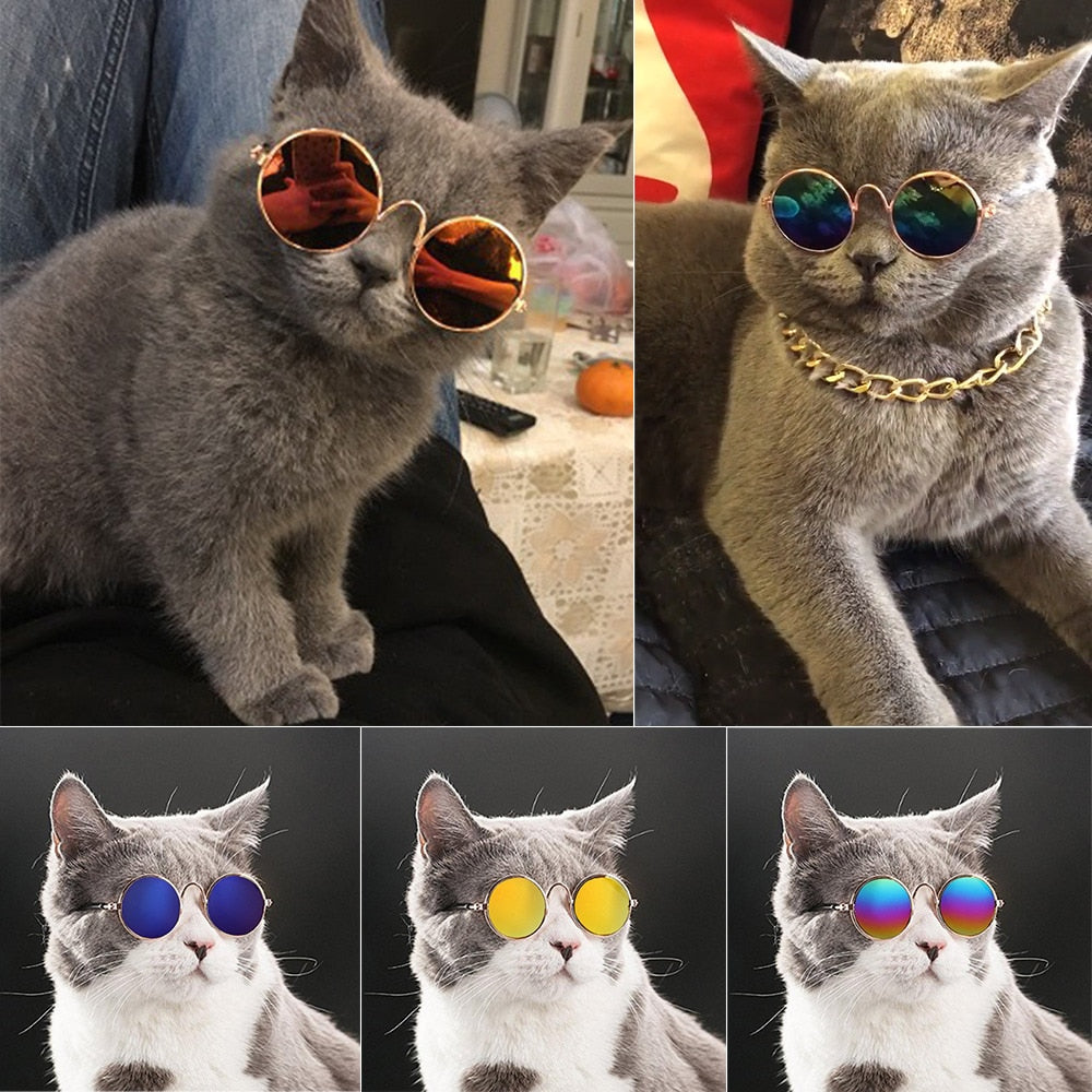 Husdjur Runda Retro Solglasögon