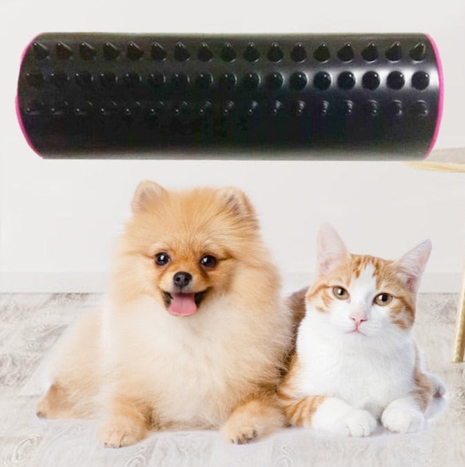 Dubbelsidig Pet Hair Comb