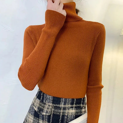 Turtleneck Sweater för kvinnor