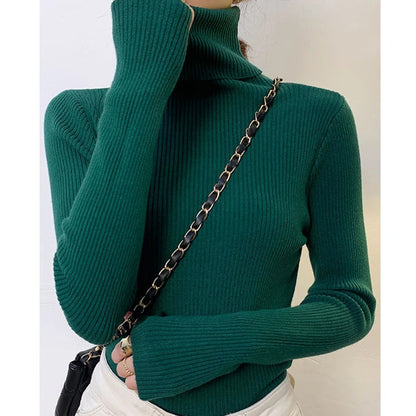 Turtleneck Sweater för kvinnor