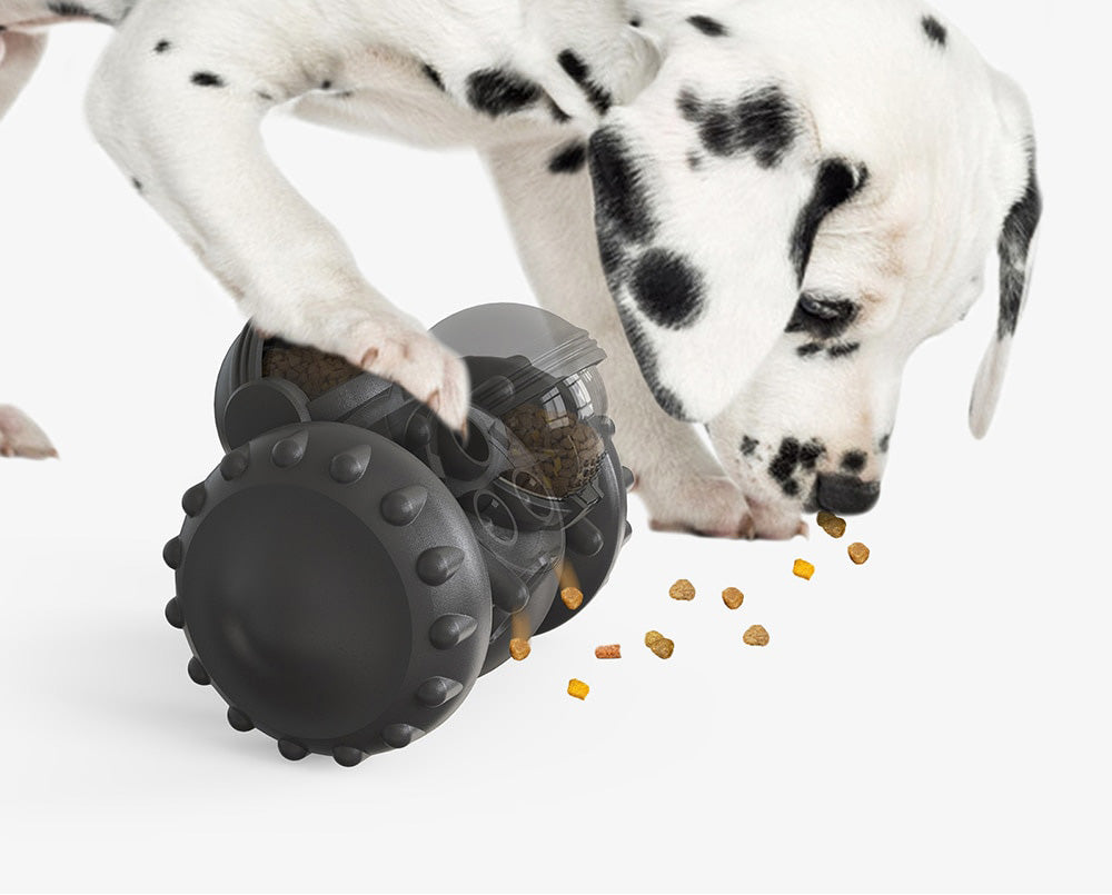 Interaktiv Hundmatare