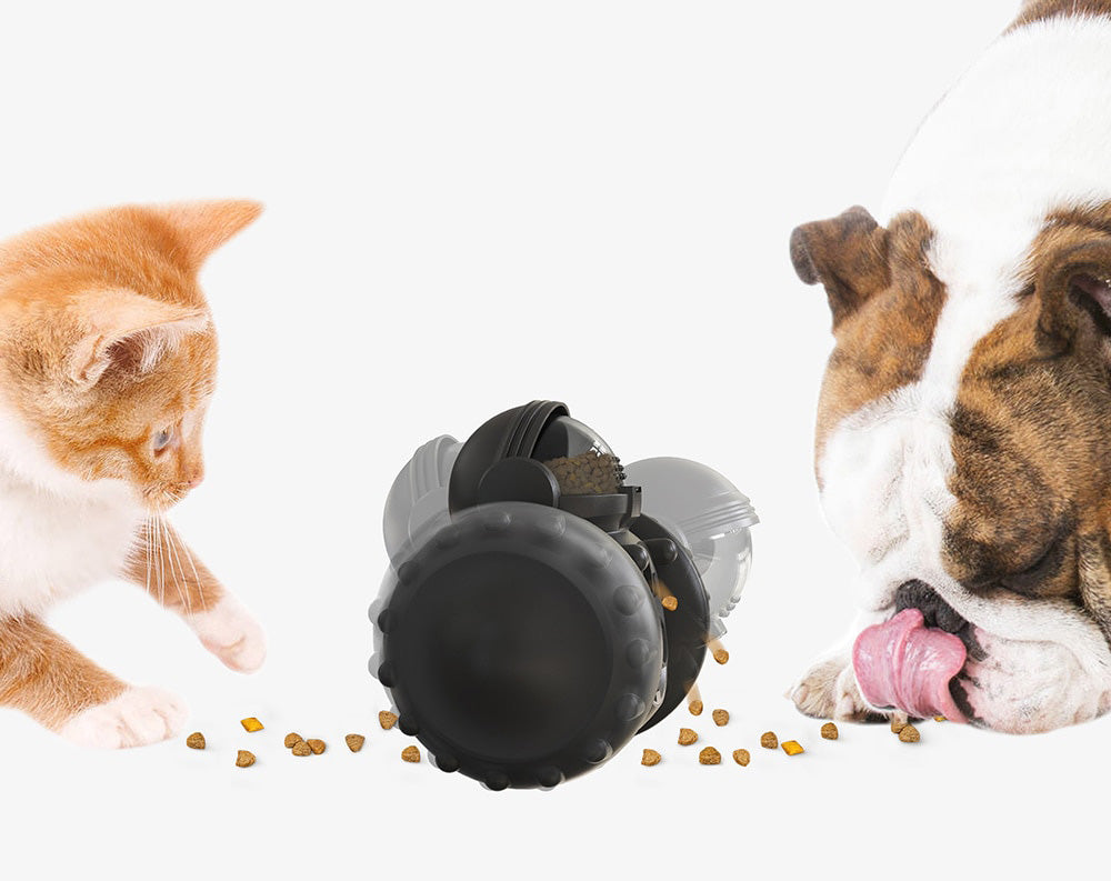 Interaktiv Hundmatare