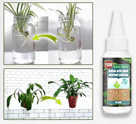 Växtnäringslösning