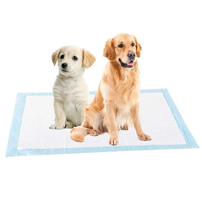 Kissar för hund