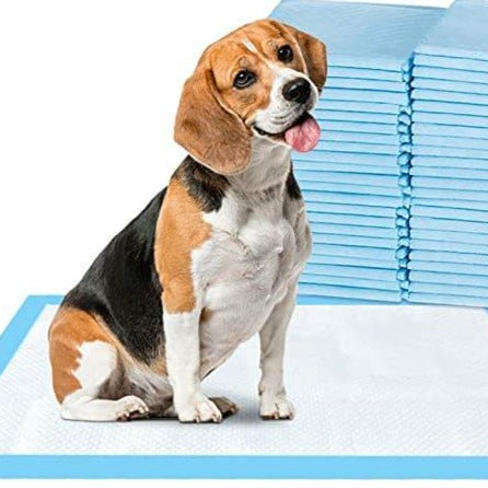 Kissar för hund