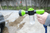 Tryck Slangmunstycke Skumpistol