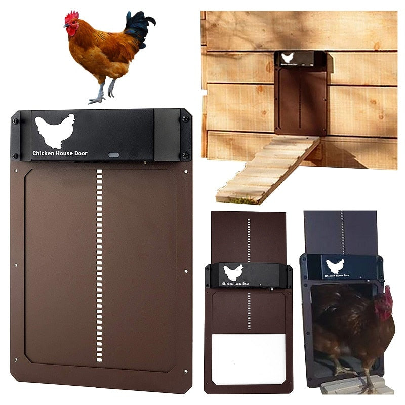 Automatisk kyckling Coop dörr
