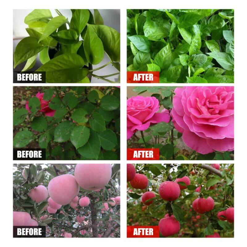 Växtnäringslösning