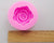 Rose silikon mögel