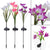 Lily Solar Garden Stake Lights