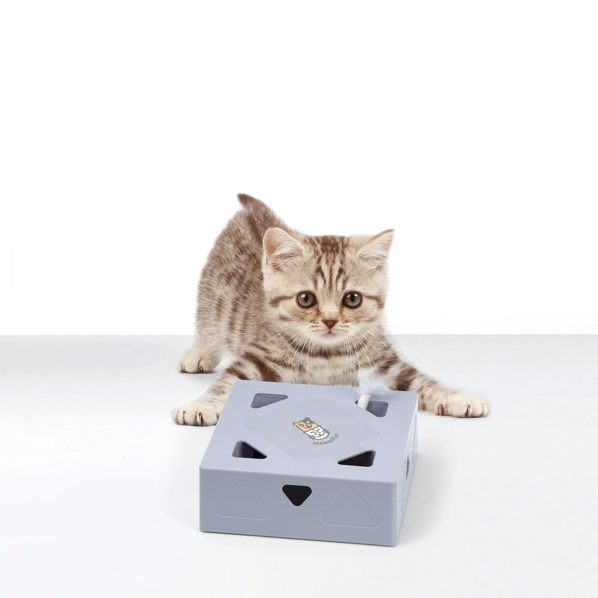 Automatisk kattleksak fjäder