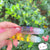 Mirror Water Lip Gloss (6 st)